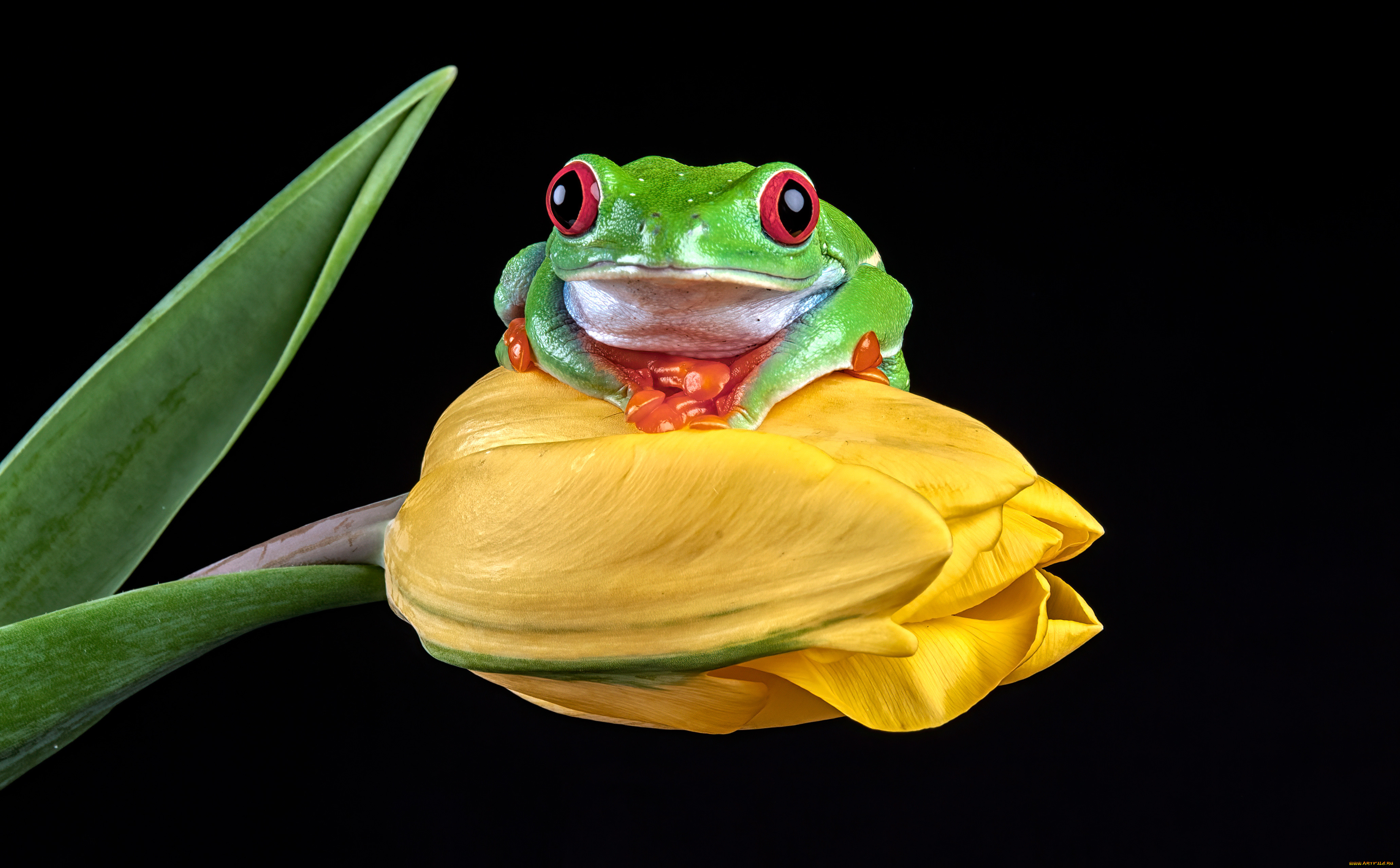 , , , 